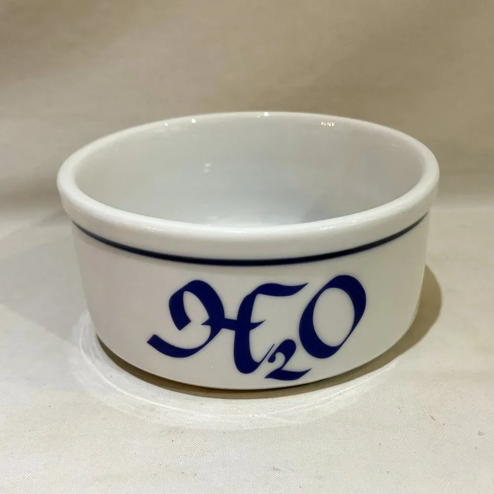 Ceramic Pottery Stoneware Pet Water Bowl H2O Blue White